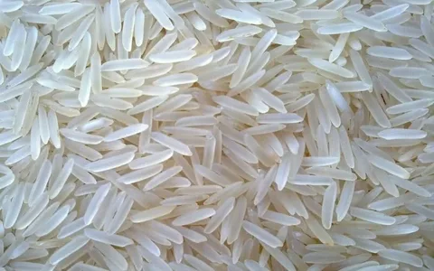 خرید برنج طارم